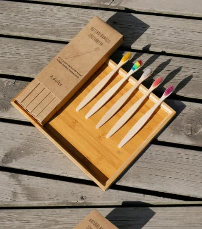 Brosse à dents en bois écologique