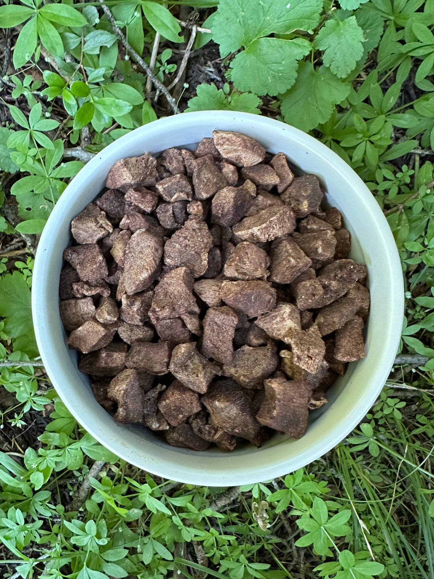 Premium Freeze-Dried Beef Liver Dog Treats