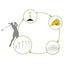 Lignum Tee - Tee de Golf Ecológico Clásico