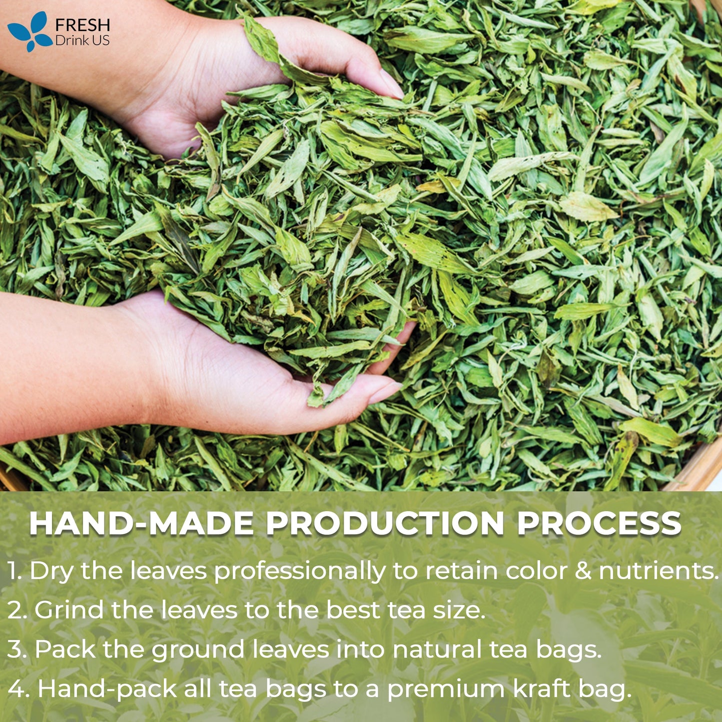 Stevia Leaf Tea Bags, 100% Natural & Pure Stevia leaves, Eco-Conscious Tea Bags, Stevia Herbal Tea. Stevia Leaf Tea. No Sugar, No Caffeine, No Gluten, Vegan - Korvel