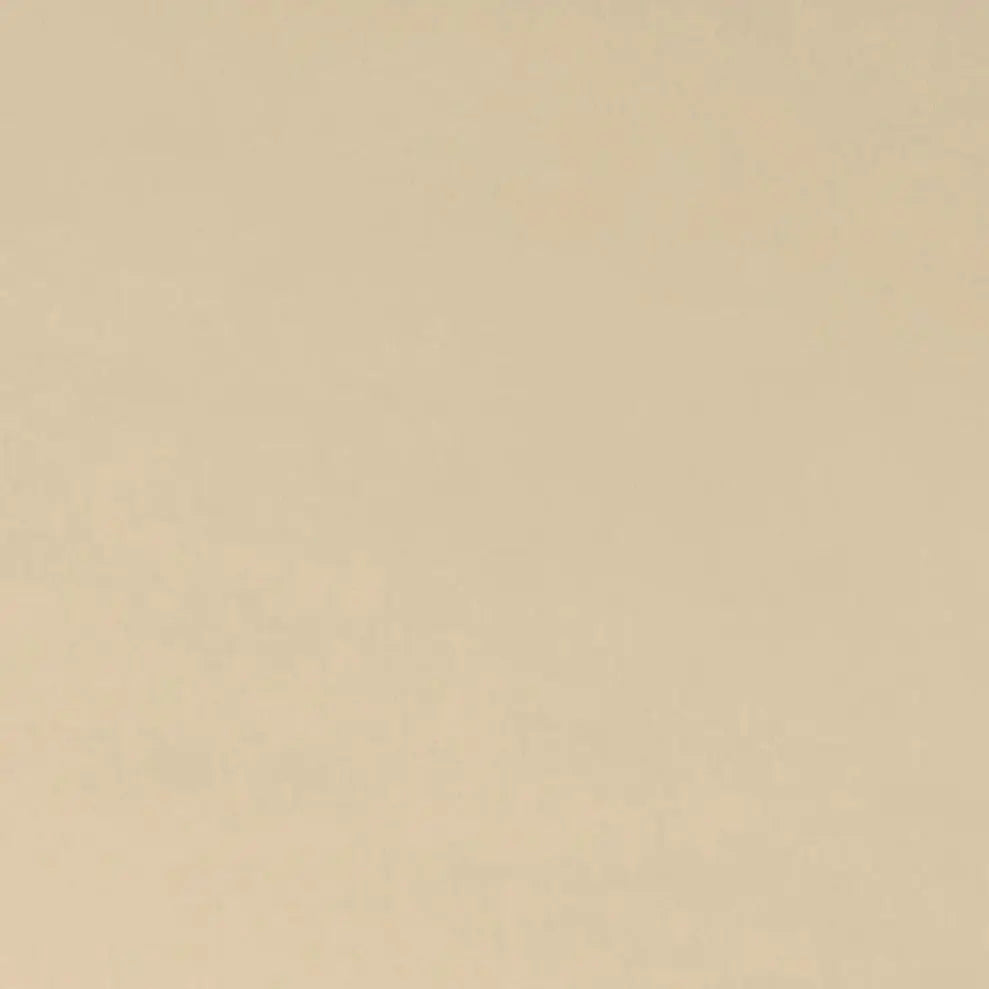 Latte Cuddle 3 Extra Wide Solid Minky Fabric Per Yard