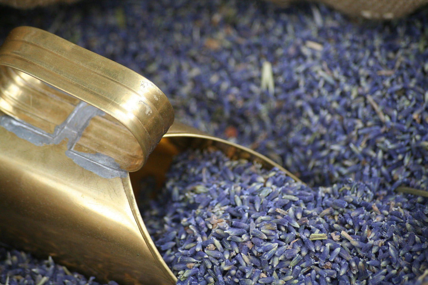Premium Whole Lavender Flowers