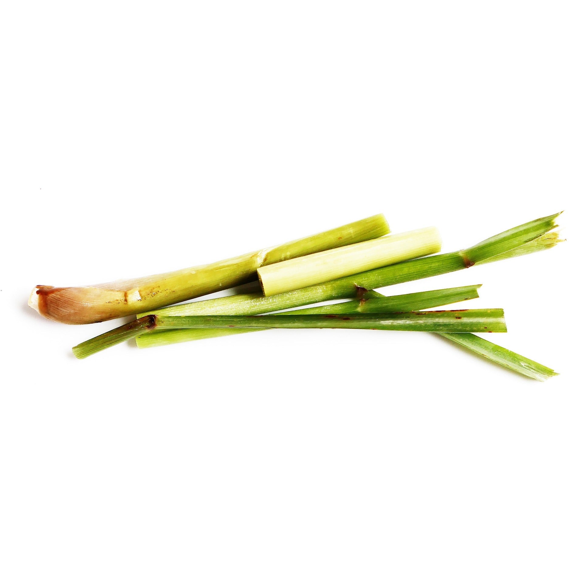 Premium Sifted Lemongrass - Aromatic Culinary Herb - Korvel