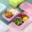 Premium Stainless Steel Two-Layer Lunch Box