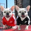 Hoodie de luxe pour chien d'hiver