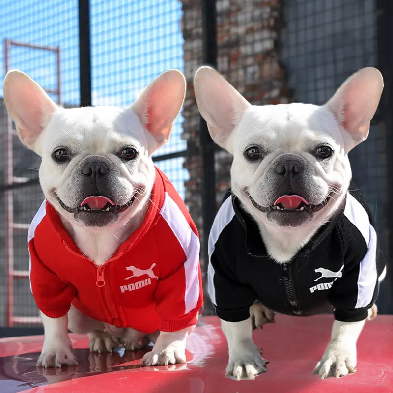 Hoodie de luxe pour chien d'hiver