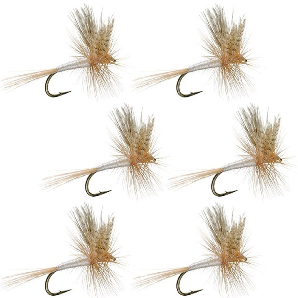 Premium Light Cahill Classic Dry Flies for Trout - Pack of 6 Size 14 - Korvel
