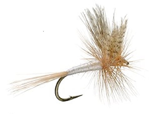 Premium Light Cahill Classic Dry Flies for Trout - Pack of 6 Size 14 - Korvel