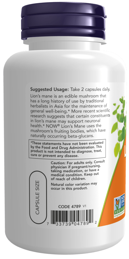 Premium Lion's Mane Mushroom Extract 500 mg
