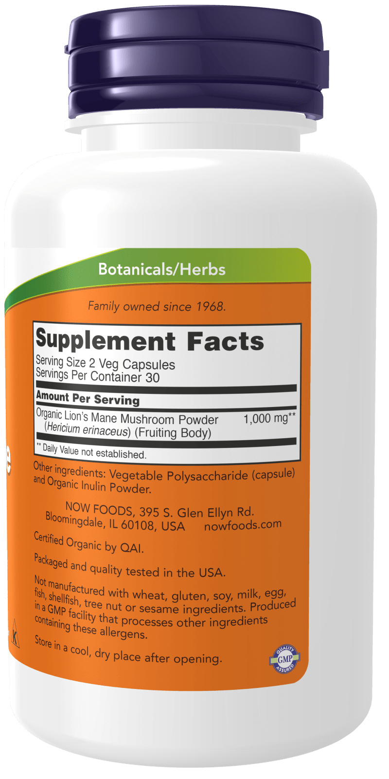 Premium Lion's Mane Mushroom Extract 500 mg