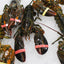 Homard vivant du Maine – Frais, provenant de sources durables, livré en une nuit