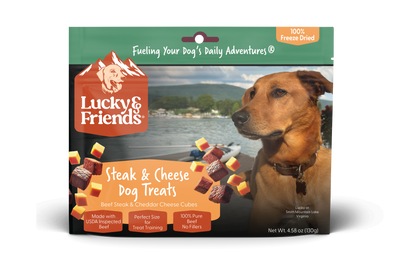 Bocaditos de Carne y Queso Cheddar para Perros