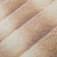 Butterscotch Luxe Cuddle Arctic Chinchilla Fabric per Yard