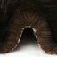 Luxe Cuddle Arctic Fox Black Coffee Fabric per Yard