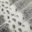 Tissu en peluche Alaskan Bunny Luxe Gunmetal - 58"/60" par yard