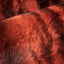 Autumn Luxe Cuddle Nube Fabric - Soft & Dreamy