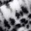 Snow/Black Luxe Cuddle Savanna Fabric - Premium Plush