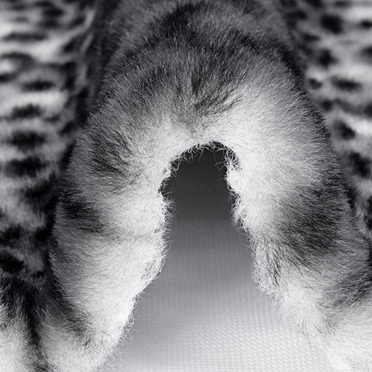Snow/Black Luxe Cuddle Savanna Fabric - Premium Plush