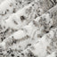 Luxe Cuddle Snowy Owl Charcoal Fabric - 58" per Yard