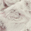 Luxe Cuddle Snowy Owl Elderberry Fabric - 58"