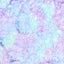 Luxe Cuddle Sorbet Poppy Pixie Fabric - 58" Width