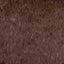 Tela de Grizzly Luxe Cuddle Teddy - 58"/60" por yarda