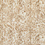Cappuccino Luxe Cuddle Bengal Fabric - 58"/60" per yard