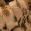 Pecan Luxe Cuddle Vienna Bengal Fabric per Yard