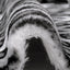 Alloy Luxe Cuddle Wild Jag Fabric - 58"/60" per Yard