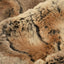 Tela de Conejo Salvaje Luxe Cuddle Ámbar - 58"/60" por yarda