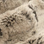 Natural Luxe Cuddle Wild Rabbit Fabric - 58"/60" per Yard