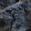 Tela de Conejo Salvaje Luxe Cuddle del Espacio Exterior - 58"/60" por yarda