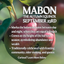 Mabon Diffuser Oil Blend - Celebrate Autumn's Essence