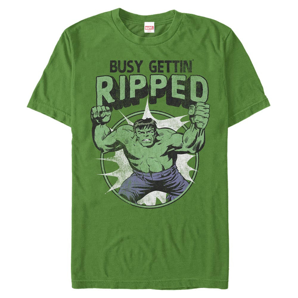 Men's Marvel Hulk Graphic T-Shirt