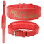 Ativafit Weight Lifting Belt - Premium Support for Heavy Lifts