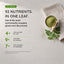 100% Organic Moringa Pouch