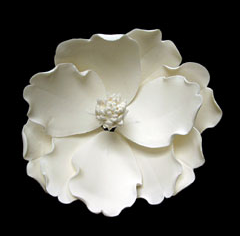 Magnolia Edible Flower Decorations - 9 Count