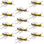 Mantis BLT Grasshopper Dry Flies - 12 Pack Size 10 - Korvel