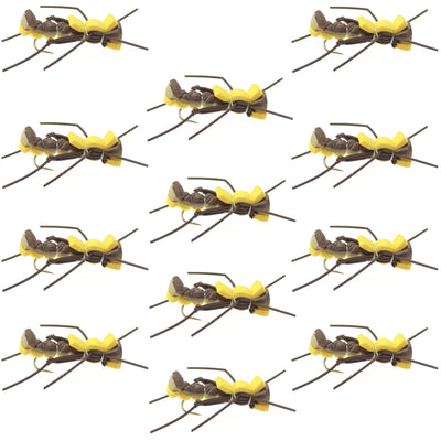 Mantis BLT Grasshopper Dry Flies - 12 Pack Size 10 - Korvel