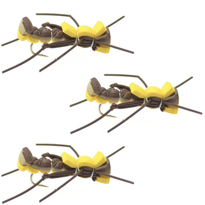 Mantis BLT Foam Body Grasshopper Fly - Size 10 (3 Pack) - Korvel