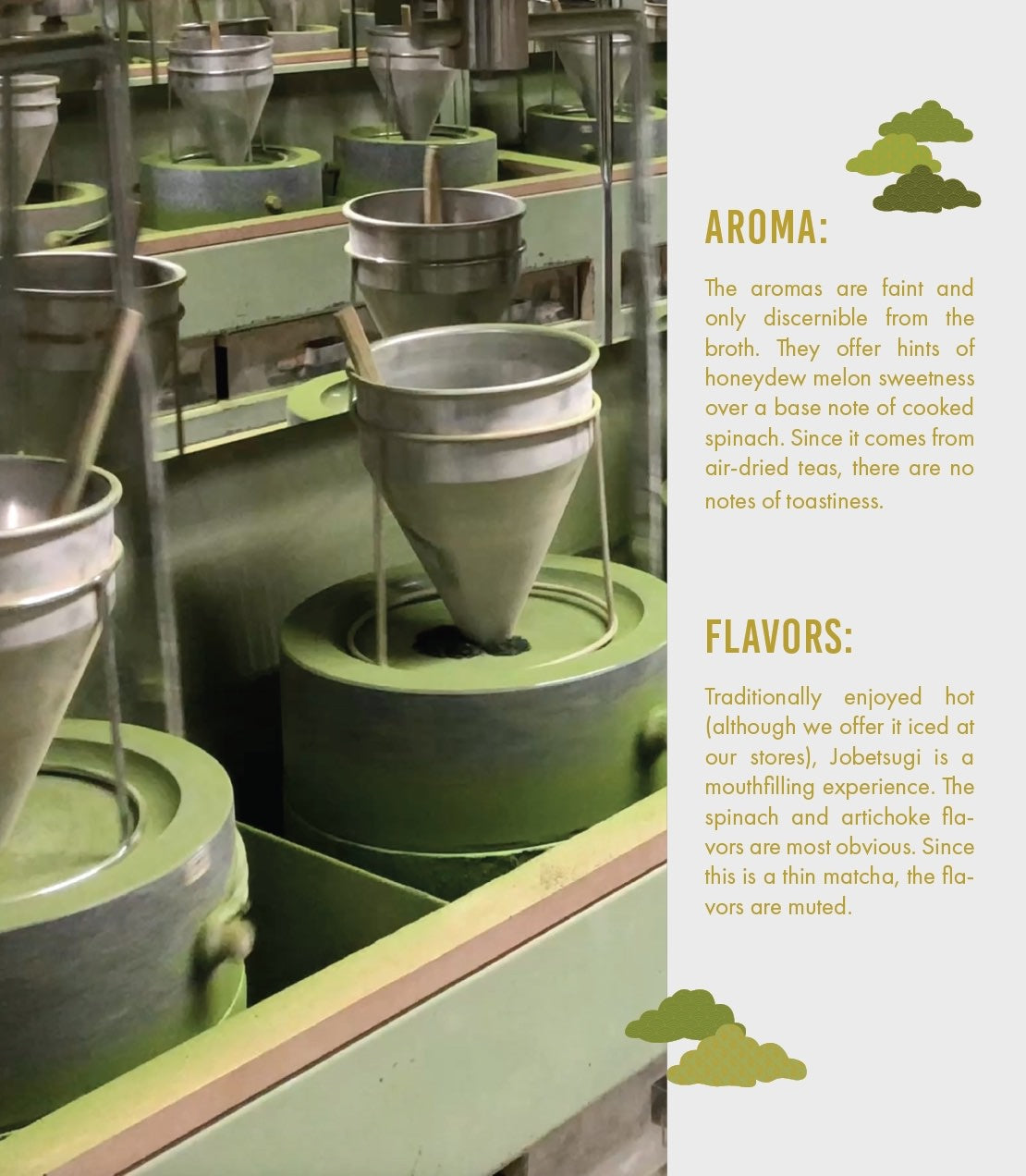 Matcha Culinaire Premium du Japon