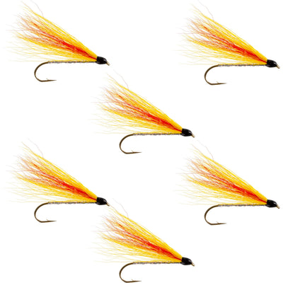 Mickey Finn Streamer Flies - Premium Set of 6 for Big Fish - Size 4 - Korvel