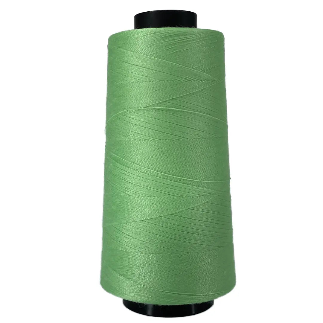 Fil de Quilteur Édition QE034 Mint Splendor Perma Core