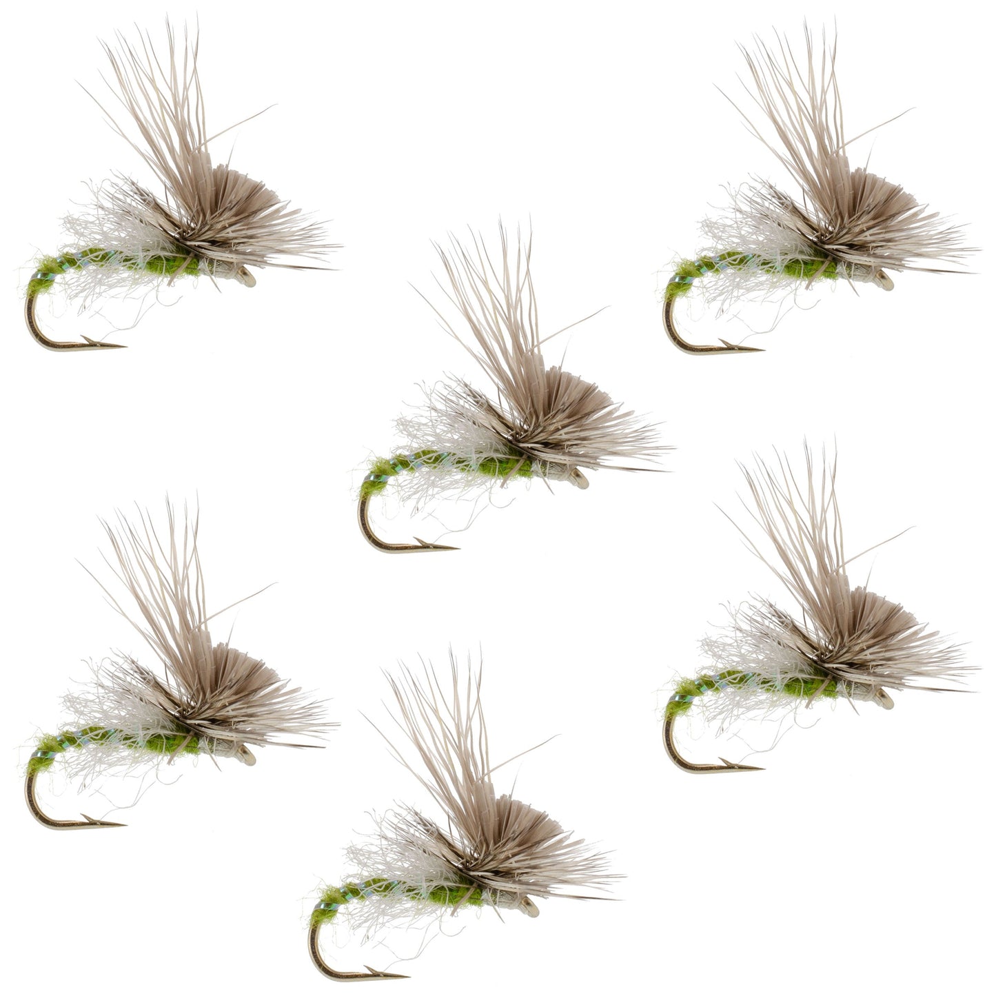 Green Drake Missing Link Mayfly Flies - Size 10 (6 Pack)