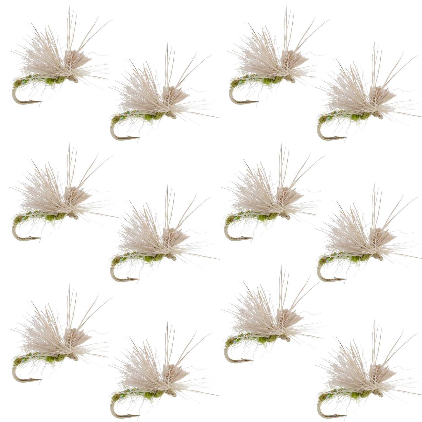 Mouches Caddis ou Éphémères Olive Missing Link - Taille 16 (Paquet de 12)
