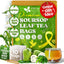 Premium Soursop Leaves Tea Bags - Natural Herbal Infusion