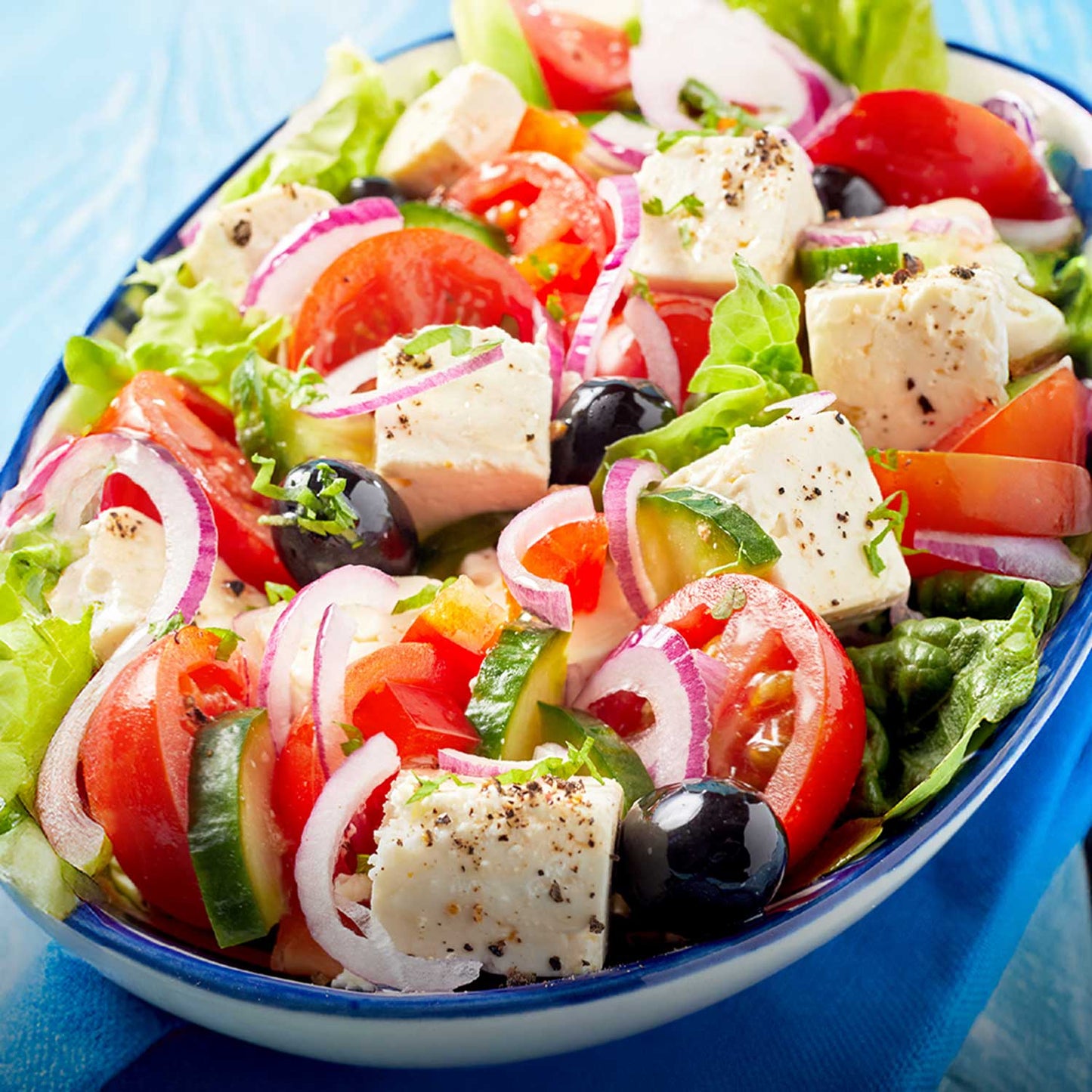 Moda Ezine Sheep Cheese – 454 g (16 oz)