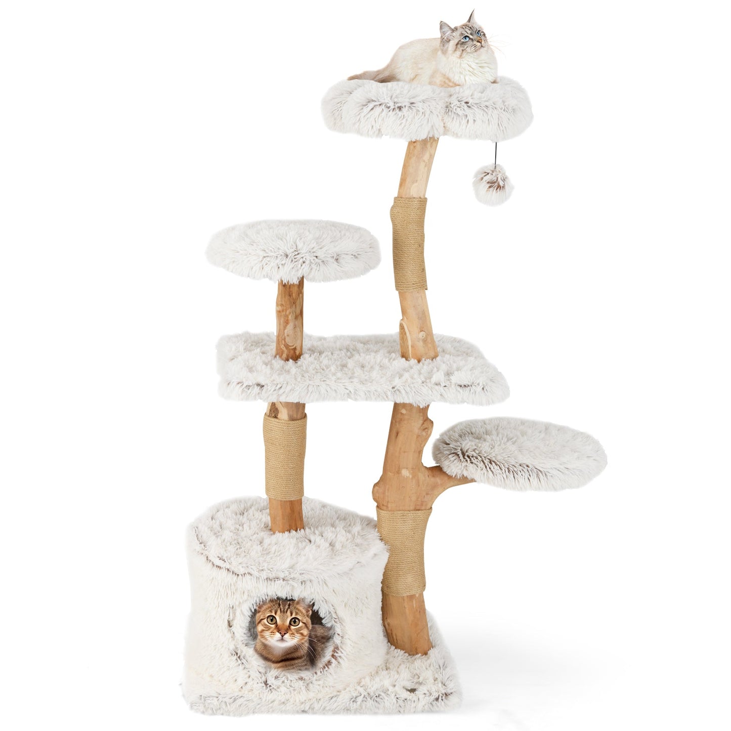 Modern 53-Inch Cat Tree with Natural Wood and Jute Scratching Posts