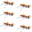 Vibrant Purple Foam Grasshopper Flies - Set of 6, Size 10 Hook - Korvel
