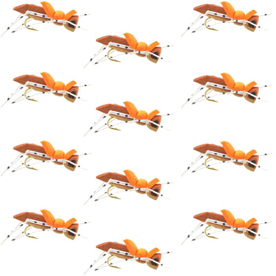 Premium Moorish Hopper Foam Flies - 1 Dozen Size 10 for Trout & Bass - Korvel